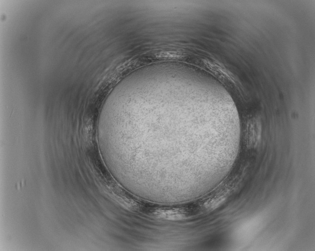 X0000060780557200511241822