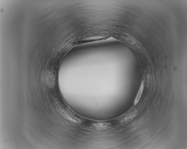 X0000060780558200511241822