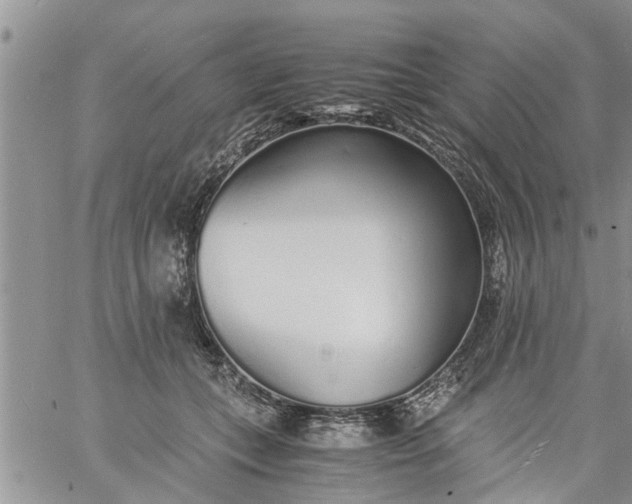 X0000060780559200511241822