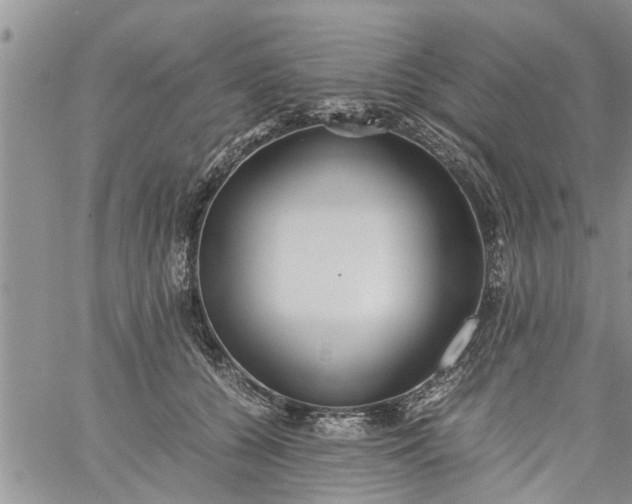 X0000060780560200511241822