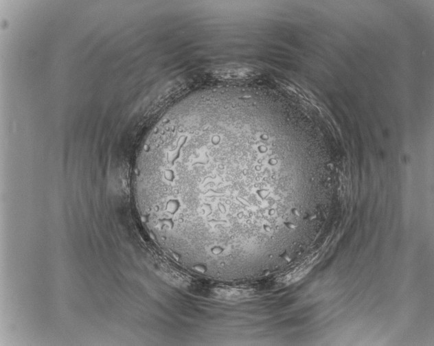 X0000060780561200511241822