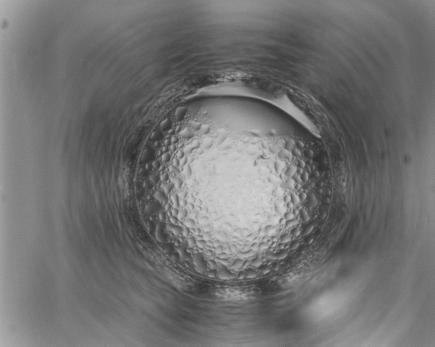 X0000060780565200511241822