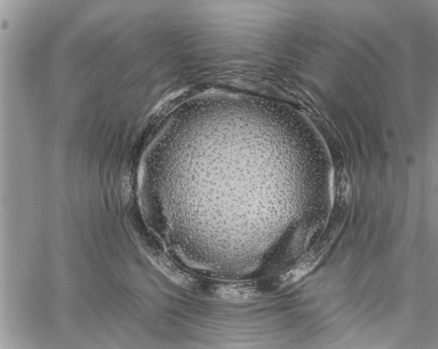 X0000060780568200511241822