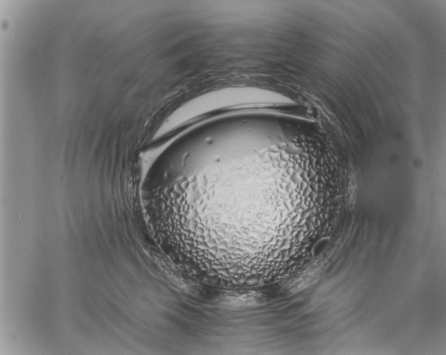 X0000060780569200511241822