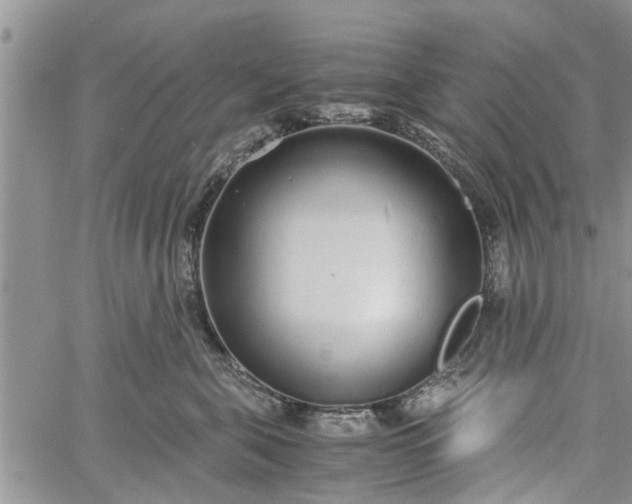 X0000060780571200511241822