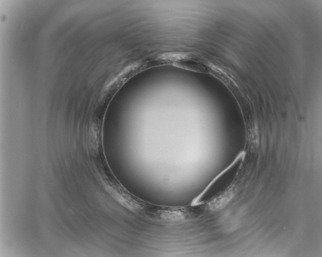 X0000060780572200511241822