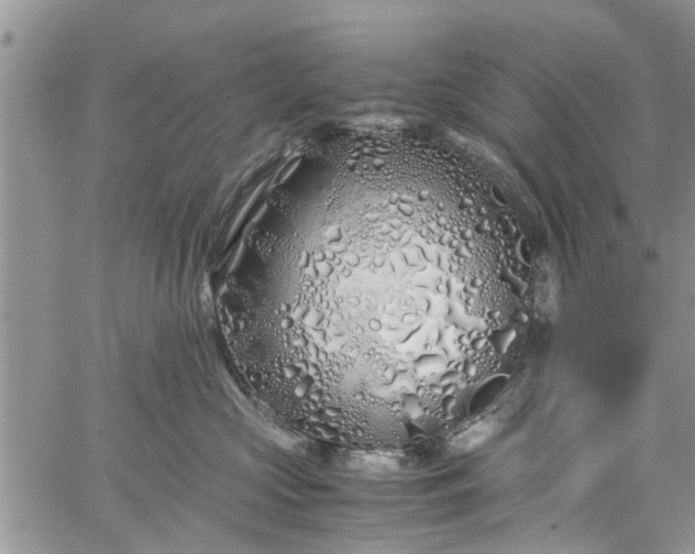 X0000060780573200511241822