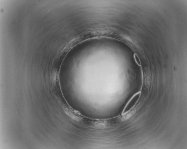 X0000060780574200511241822