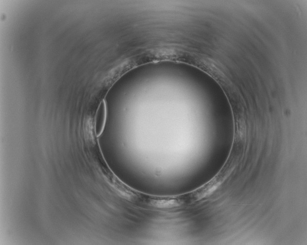 X0000060780575200511241822