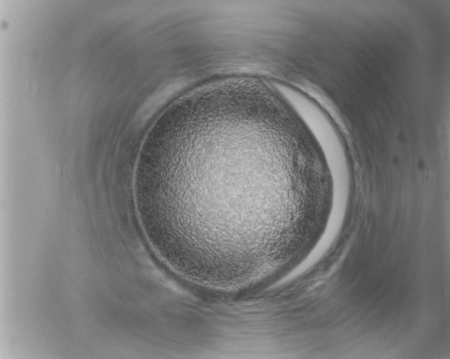 X0000060780577200511241822