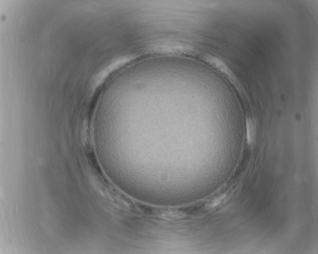 X0000060780579200511241822