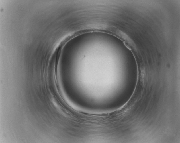 X0000060780580200511241822