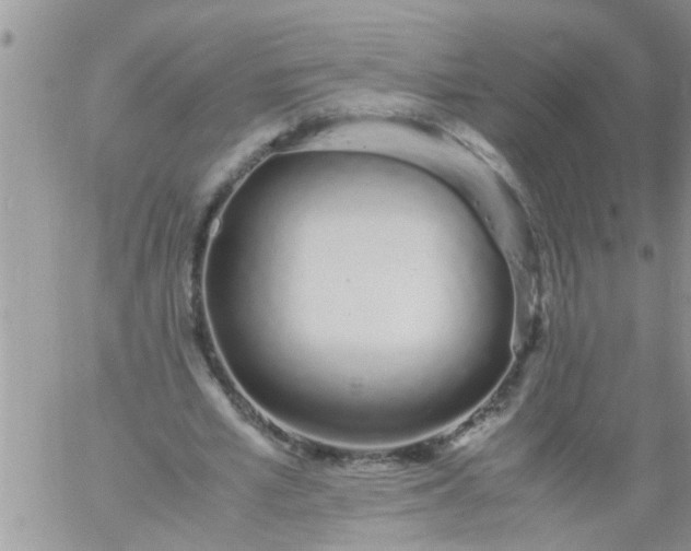 X0000060780581200511241822