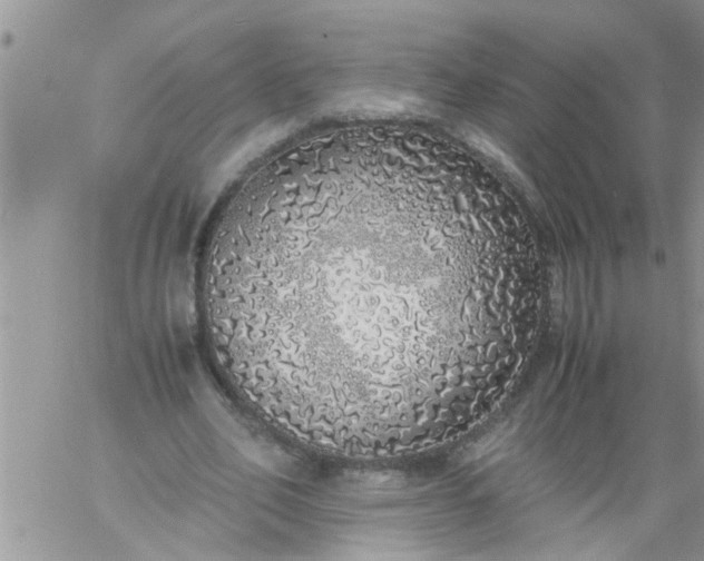 X0000060780582200511241822