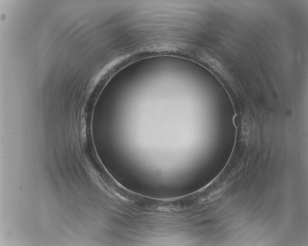 X0000060780584200511241821