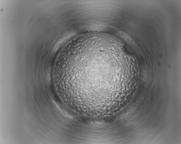 X0000060780586200511241821