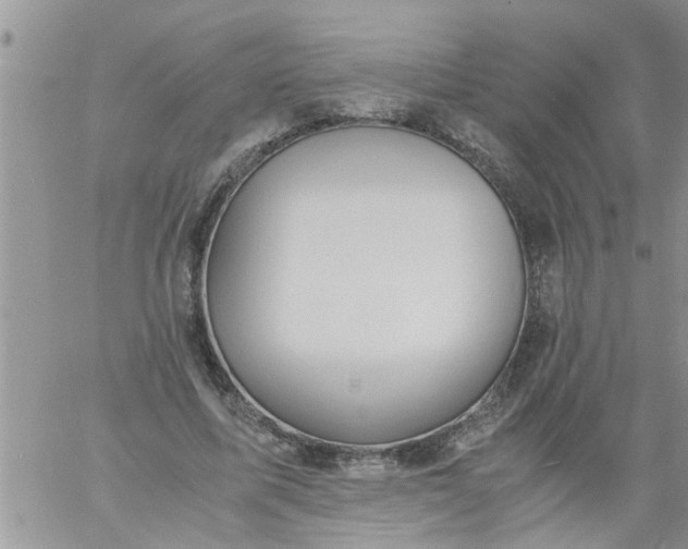 X0000060780587200511241821