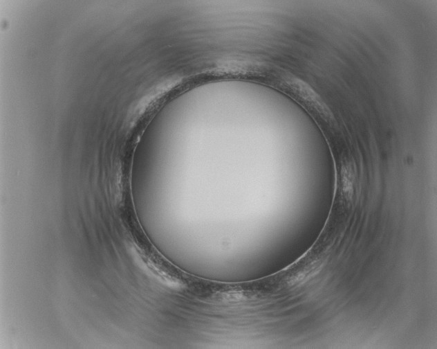 X0000060780588200511241821