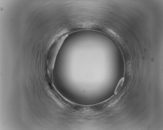 X0000060780589200511241821