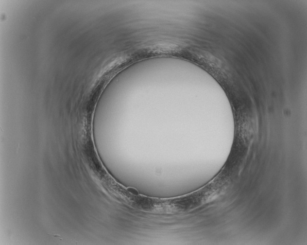 X0000060780591200511241821