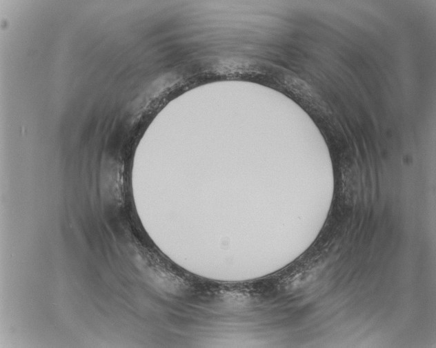 X0000060780592200511241821