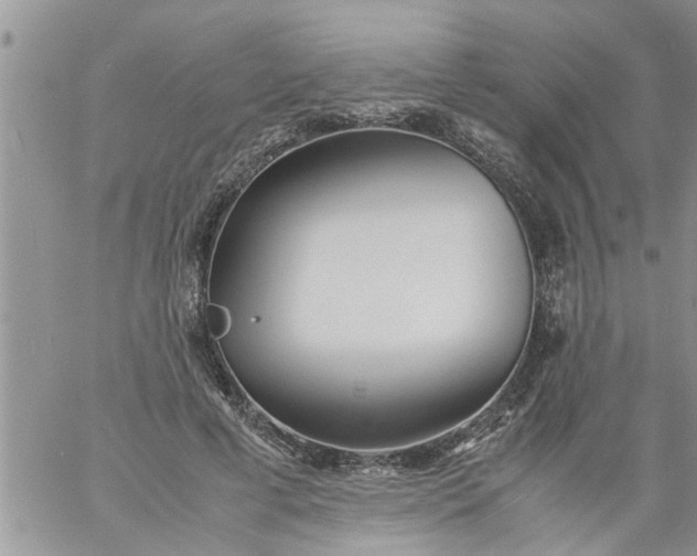 X0000060780593200511241821