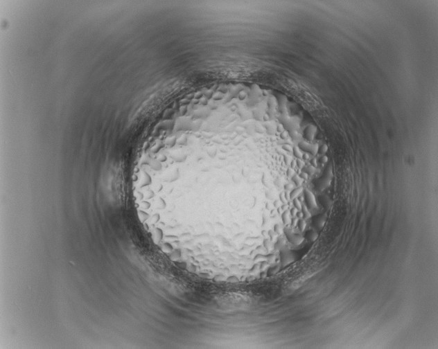 X0000060780594200511241821