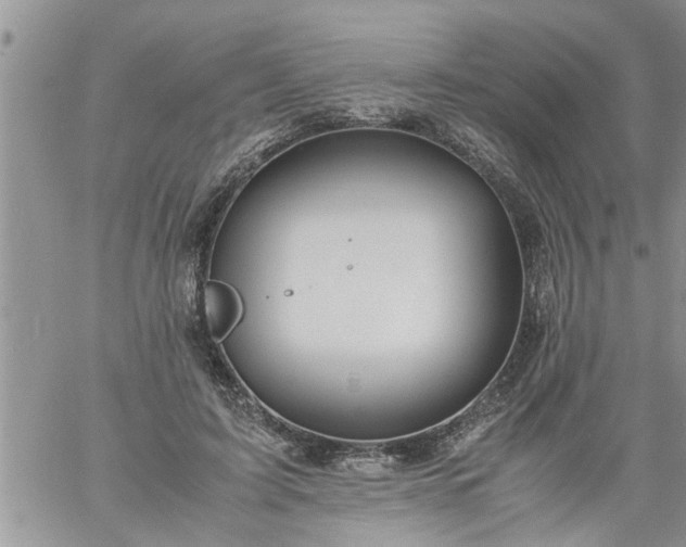 X0000060780595200511241821