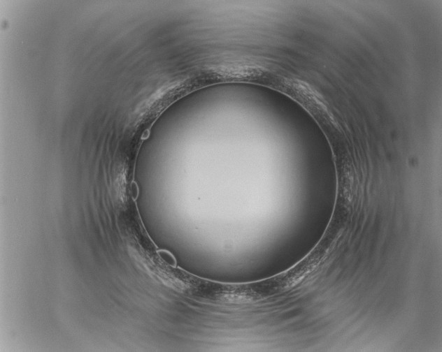 X0000060780596200511241821