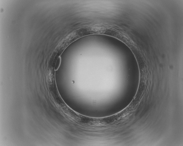 X0000060780597200511241821