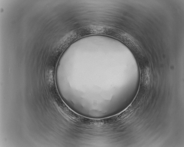 X0000060780598200511241821