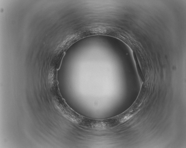 X0000060780600200511241821