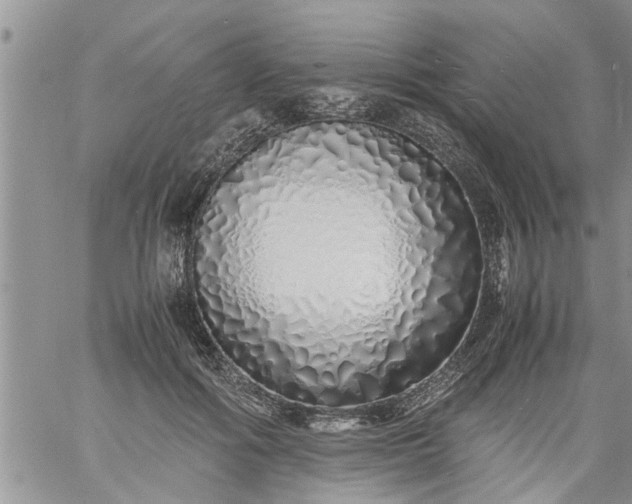 X0000060780602200511241821