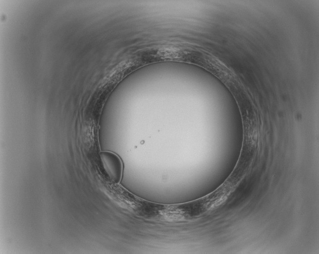 X0000060780603200511241821