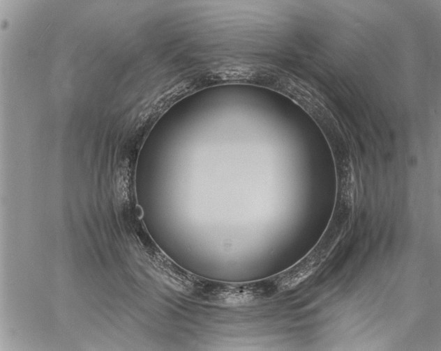 X0000060780604200511241821