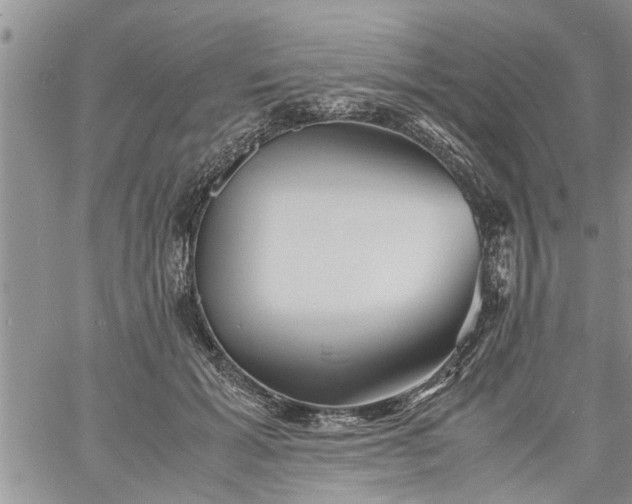 X0000060780605200511241821