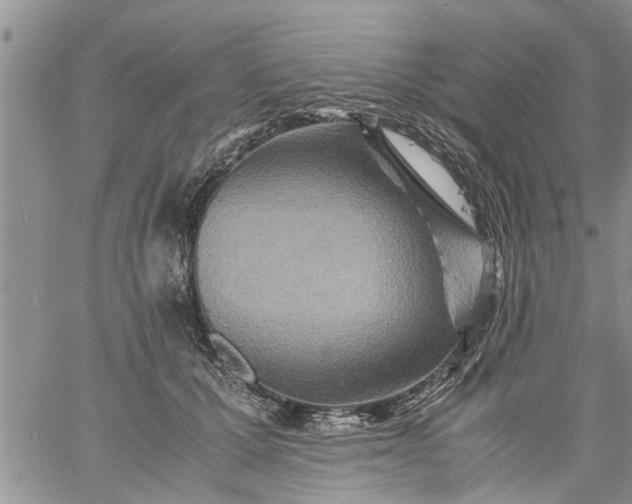 X0000060780607200511241821