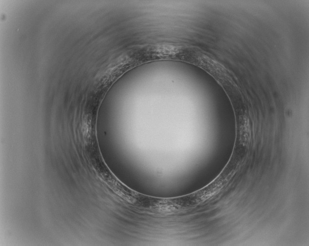 X0000060780608200511241821