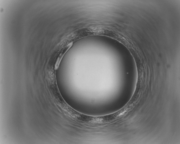 X0000060780609200511241821