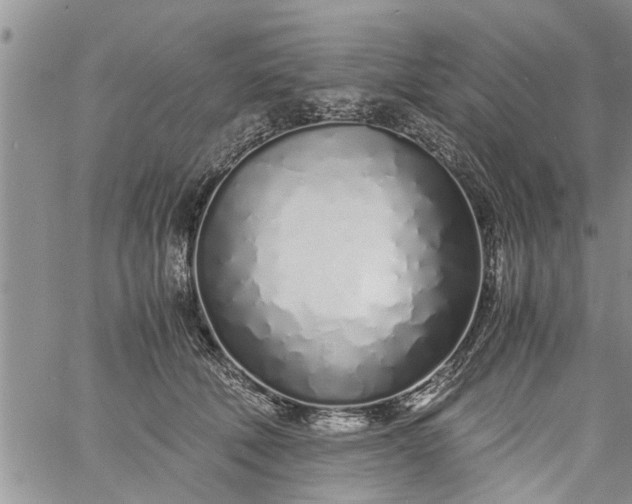 X0000060780610200511241821