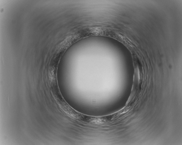 X0000060780611200511241821