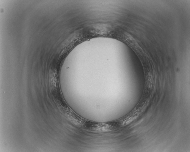 X0000060780612200511241821