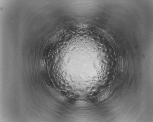 X0000060780614200511241821