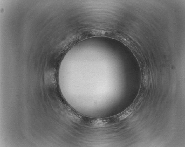 X0000060780616200511241821