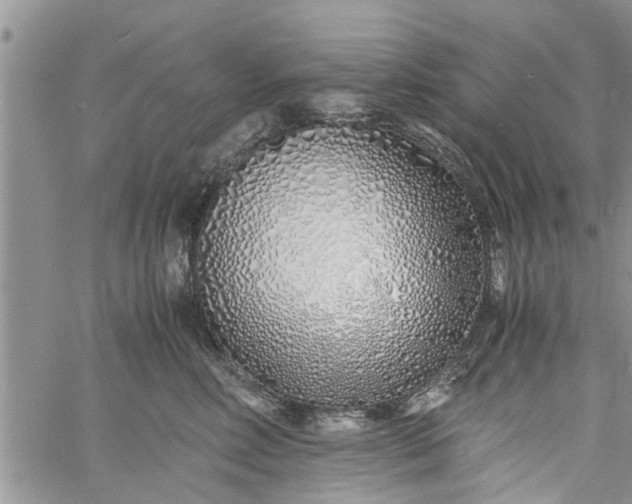 X0000060780618200511241821