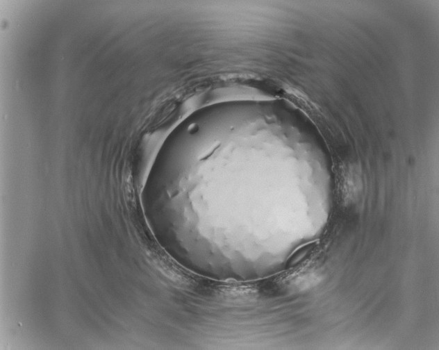 X0000060780619200511241821