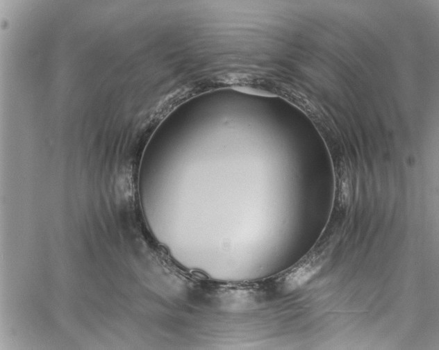 X0000060780620200511241821