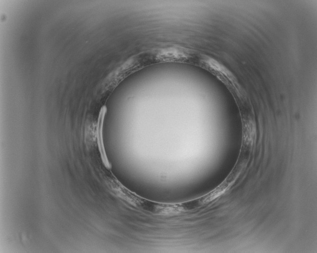 X0000060780621200511241821