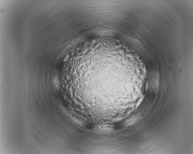 X0000060780622200511241821