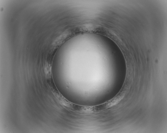 X0000060780624200511241821